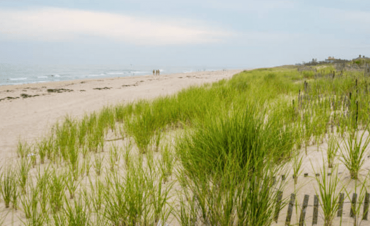 Southampton Commercial Real Estate Southampton Commercial Real Estate